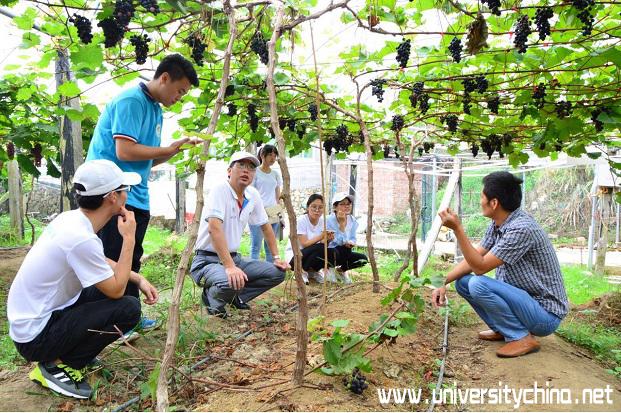 福建农林大学：科技支农，园艺学子在行动
