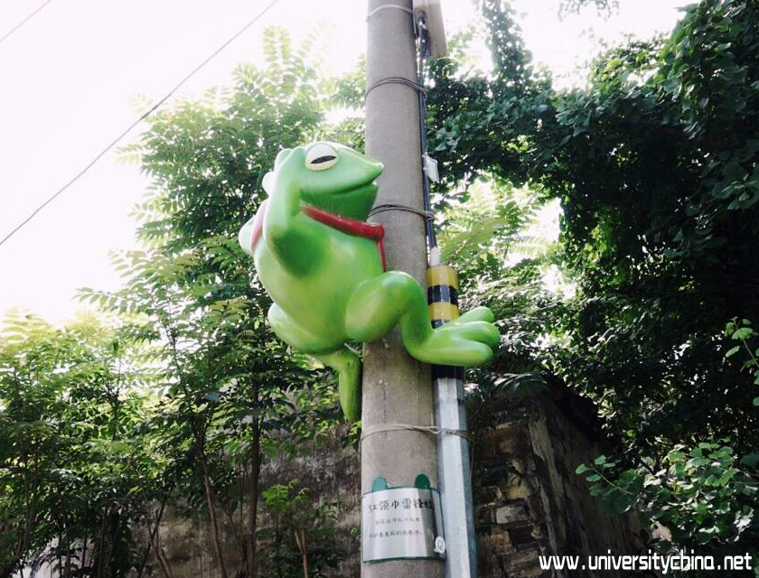 西巷村随处可见的青蛙雕塑
