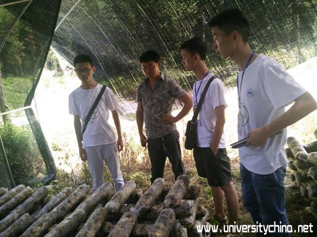 与香菇基地的工作人员一起参观交流香菇的种植