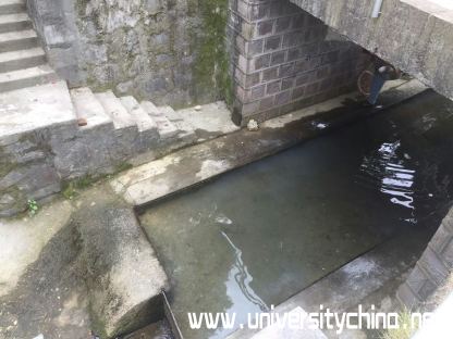 宁波慈溪小河道水污染情况