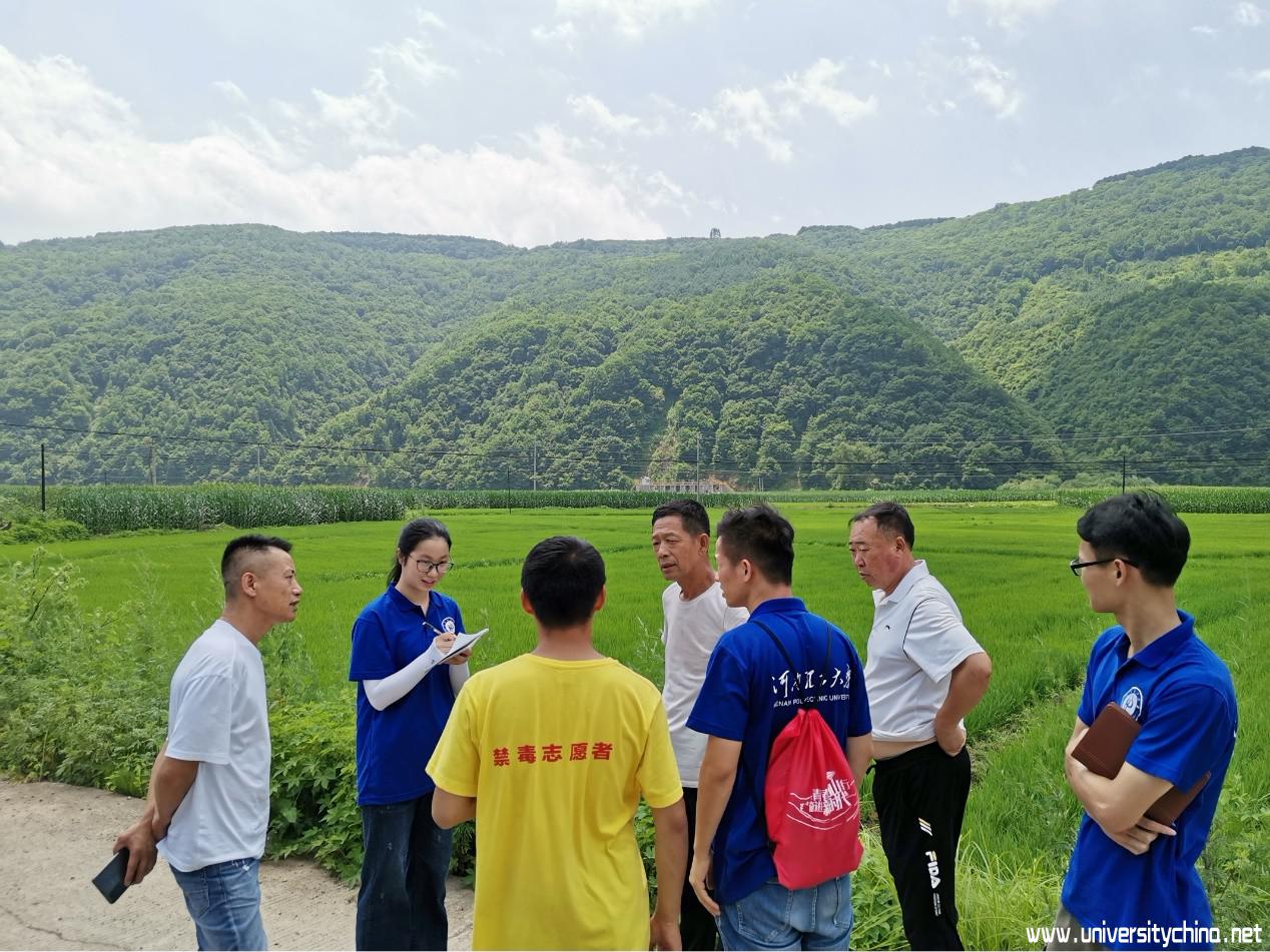 团队成员参观贾家营村水稻种植基地 摄影 陈欢.jpg